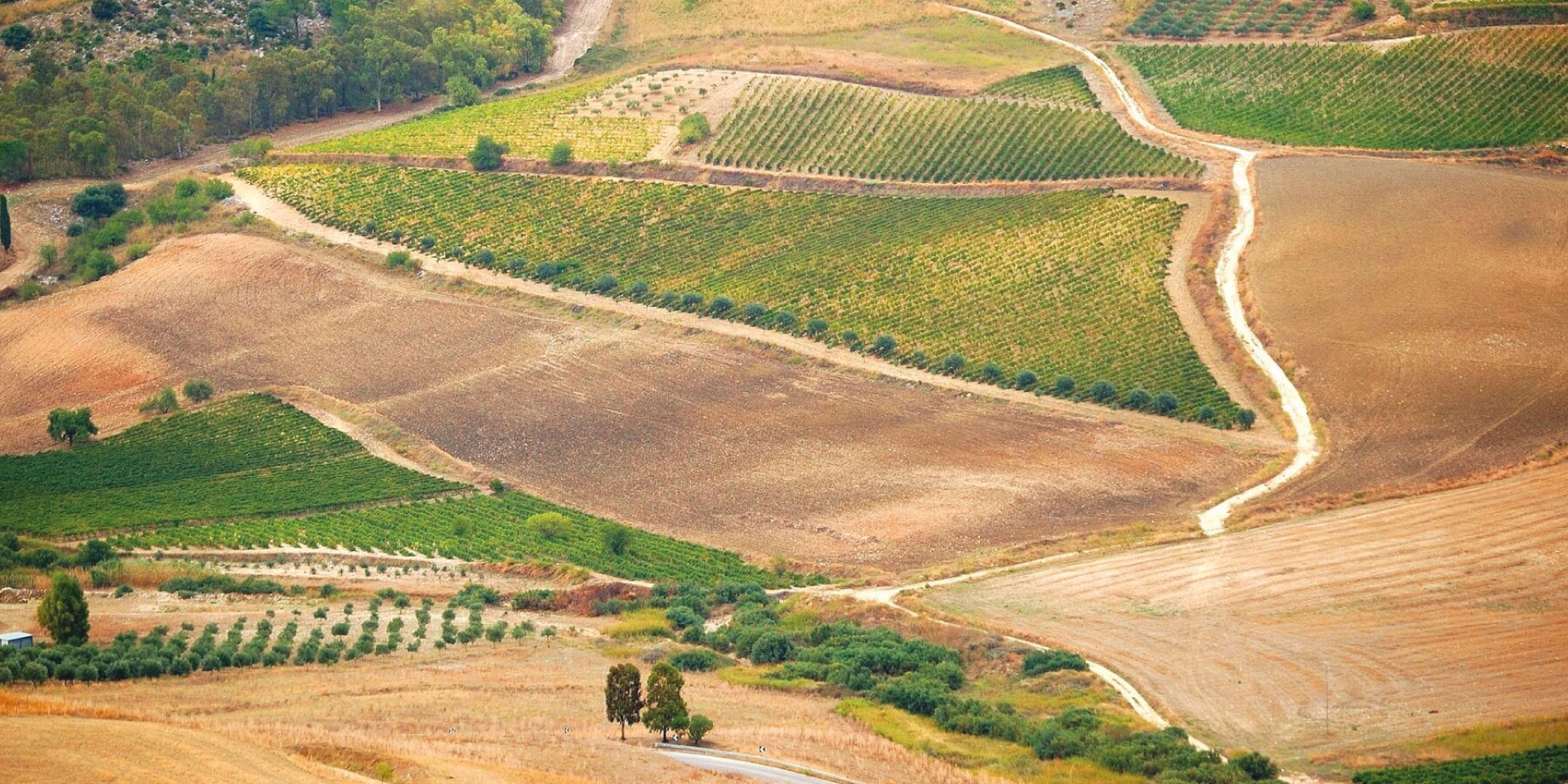 La Strada Dei Sapori